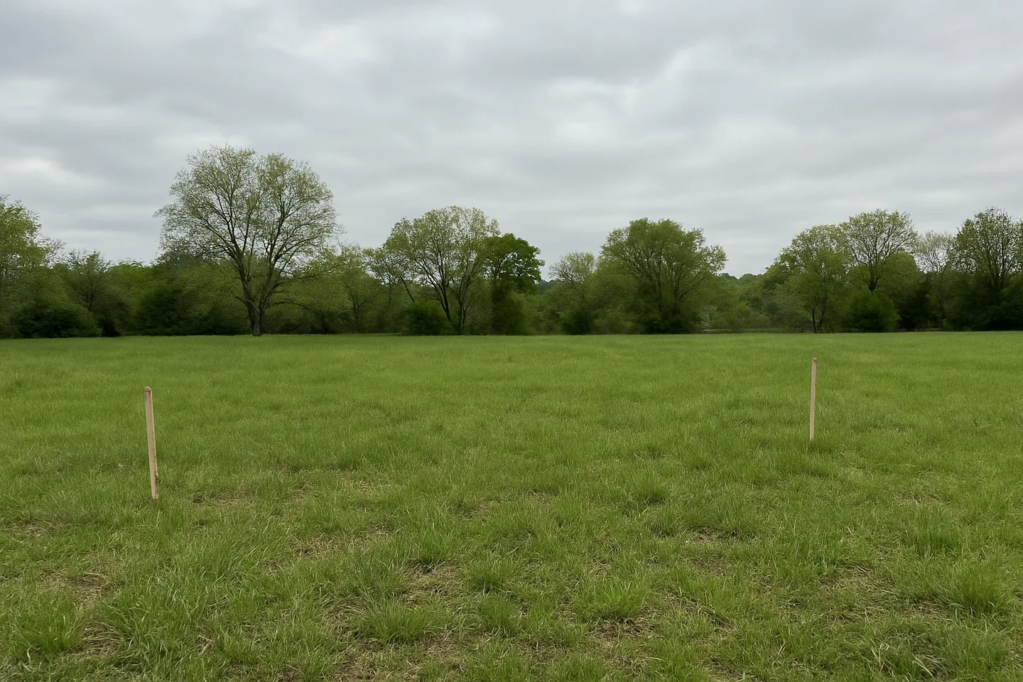 Vacant land parcel for sale in Franklin, Tennessee